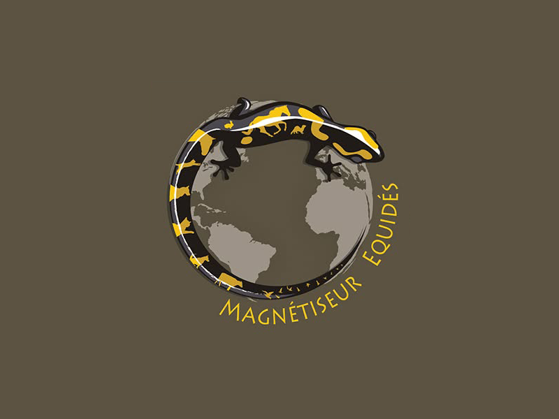  MAGNETISEUR EQUIDES